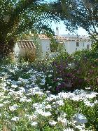 Beautiful rustic guesthouse in the paradise of the Algarve countryside.