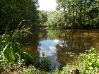 Beausoleil French Carp and Cats