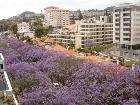 Funchal Holiday Apartment