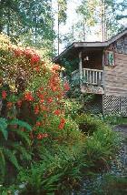 Cottages at Woods End Landing, Bamfield BC